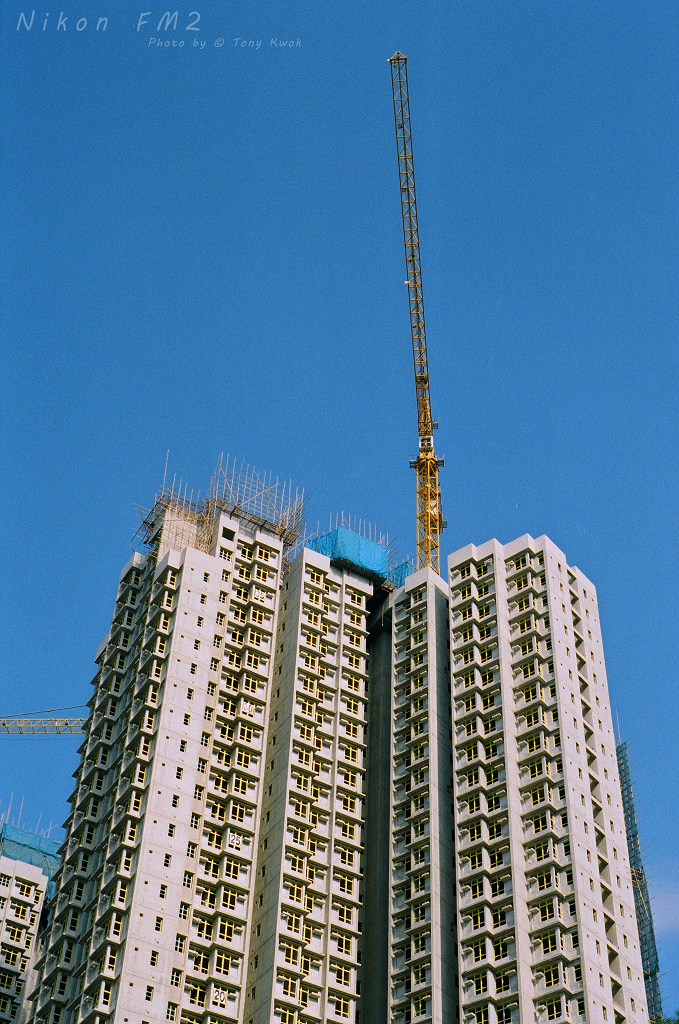40180027.jpg