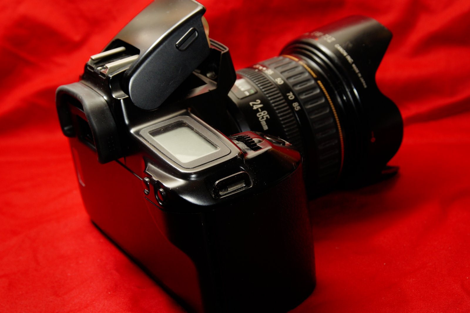_DSC4005.JPG