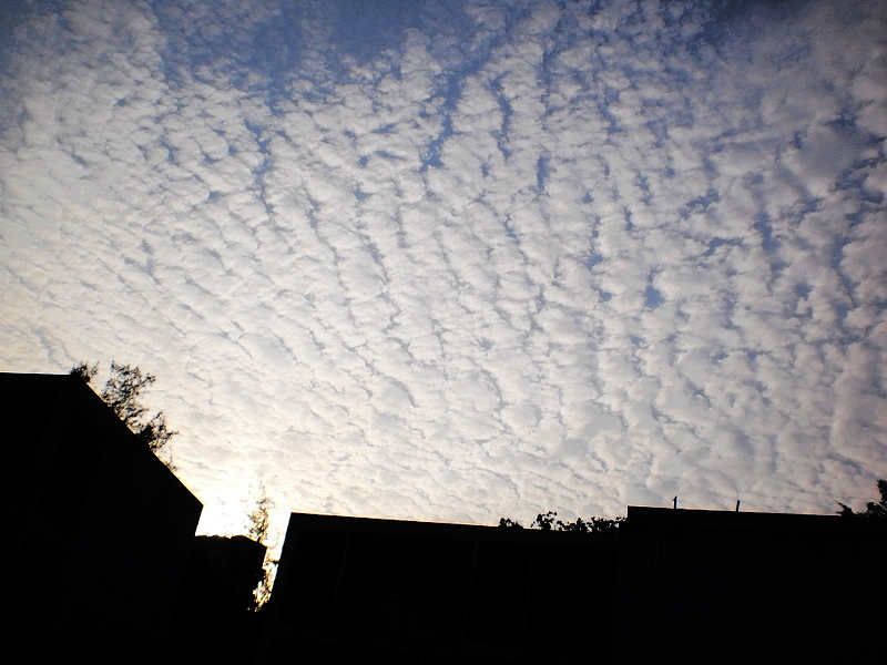 20100425_cf0c735d3f652470c9caGd2r3lBPbE78.jpg