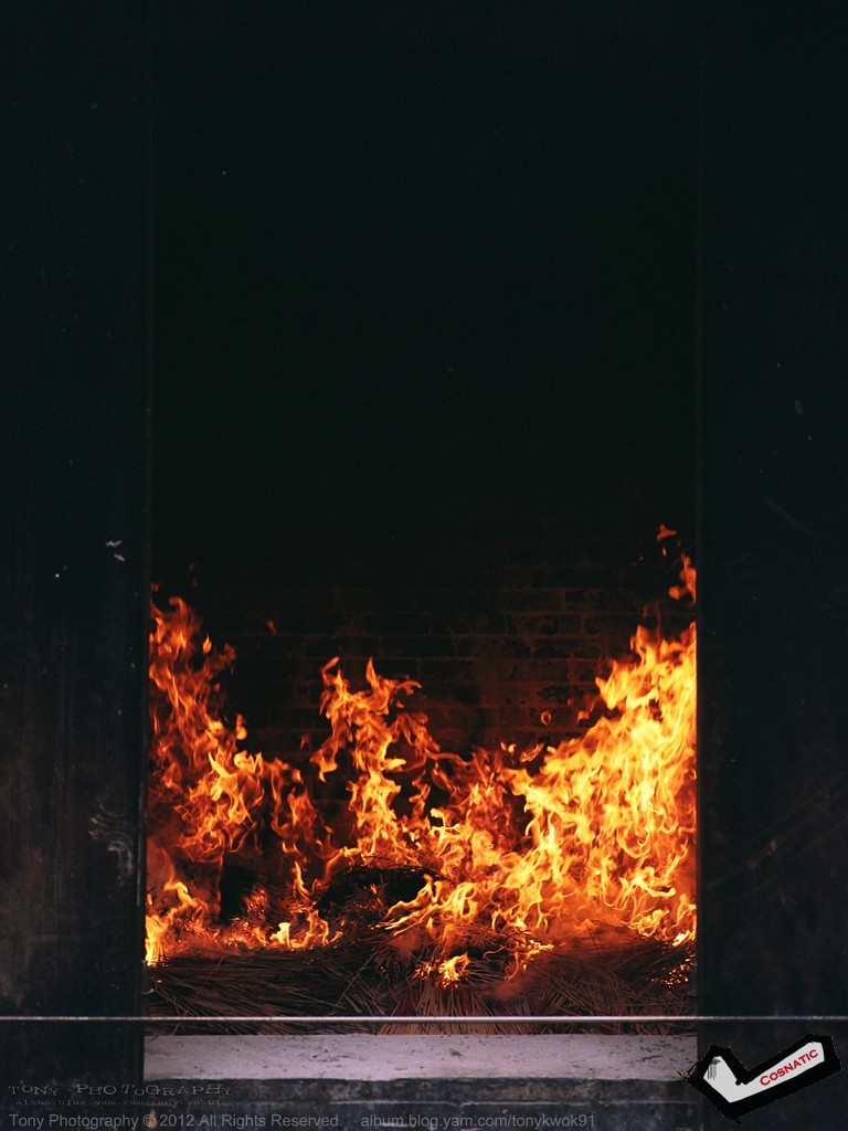 16780009.jpg