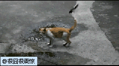 6f1216f9jw1dj9n4es1d2g.gif