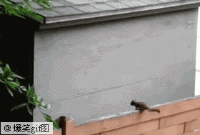 45.gif