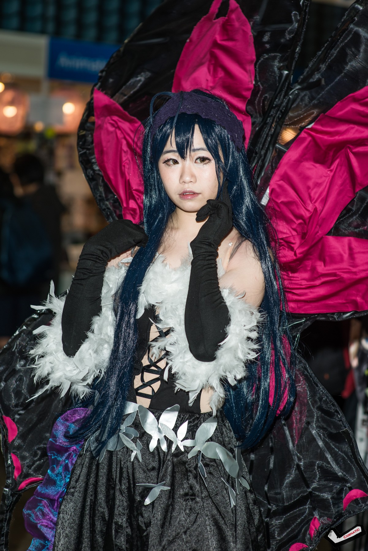 DSC_1539.jpg