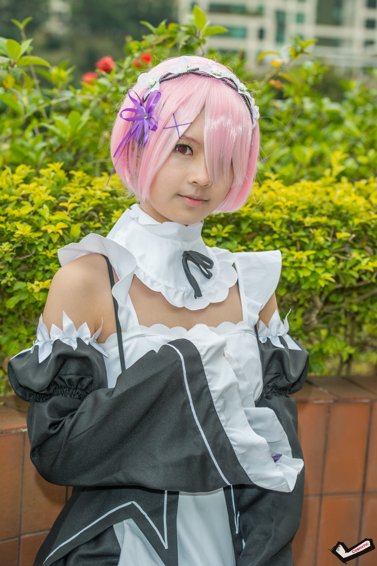 DSC_3381.jpg