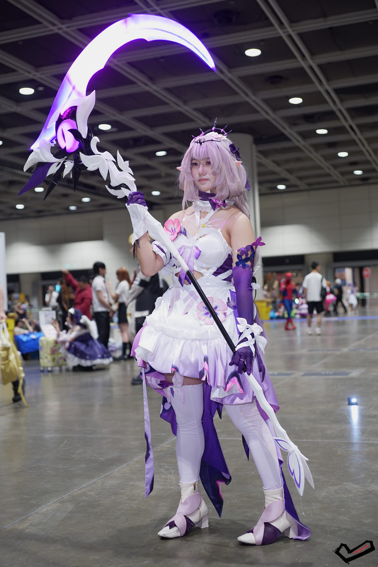 DSC08587.jpg
