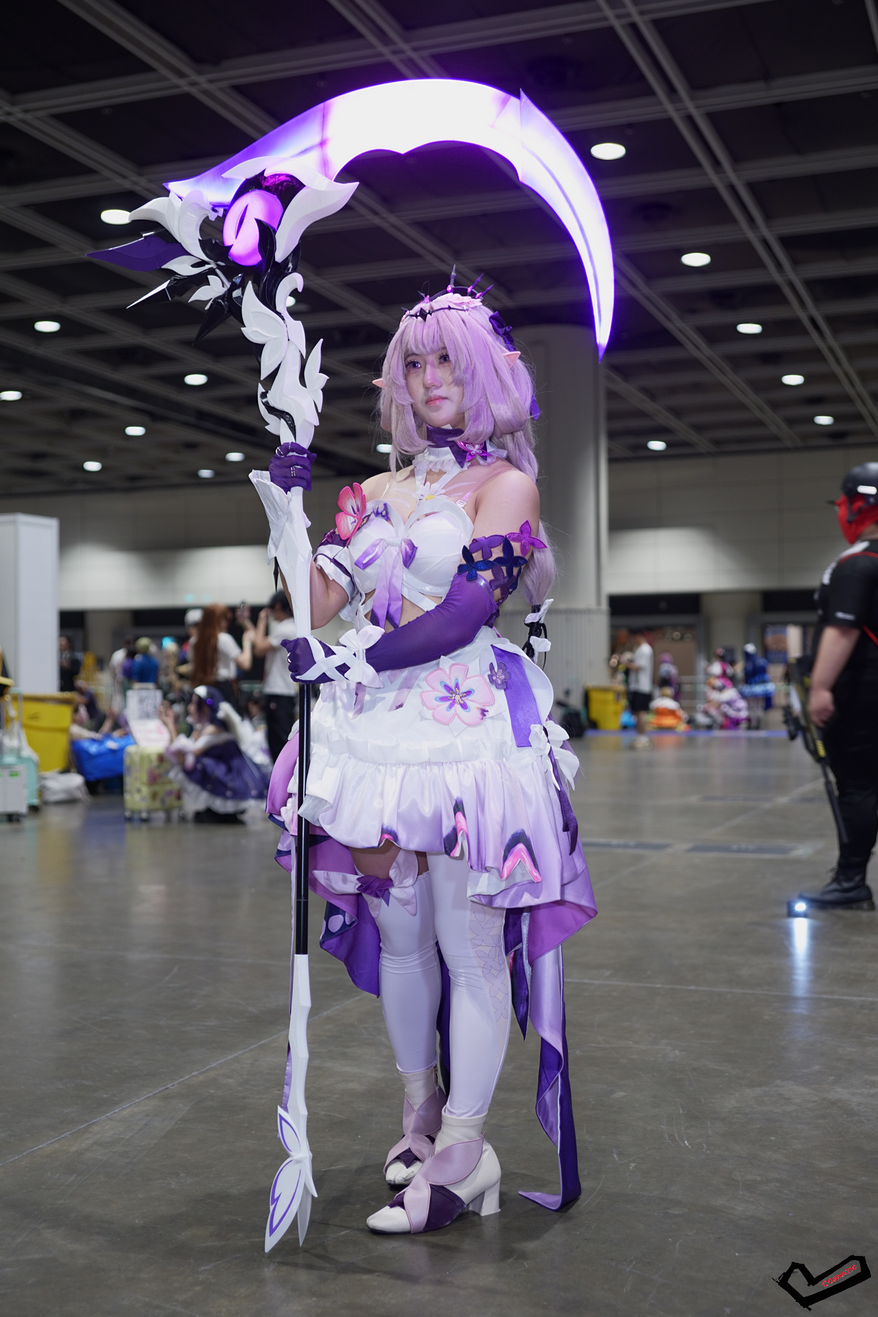 DSC08599.jpg