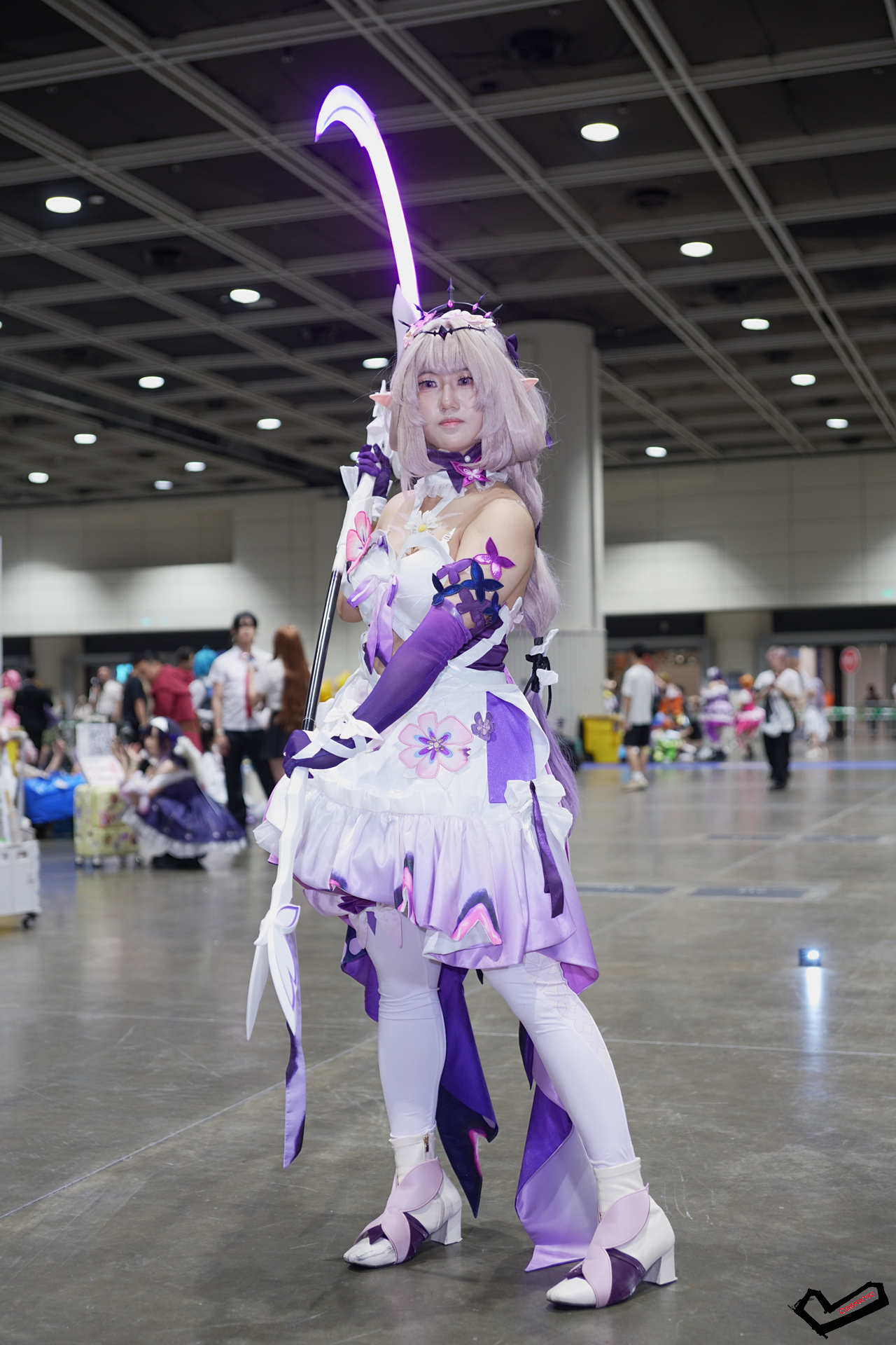 DSC08590.jpg