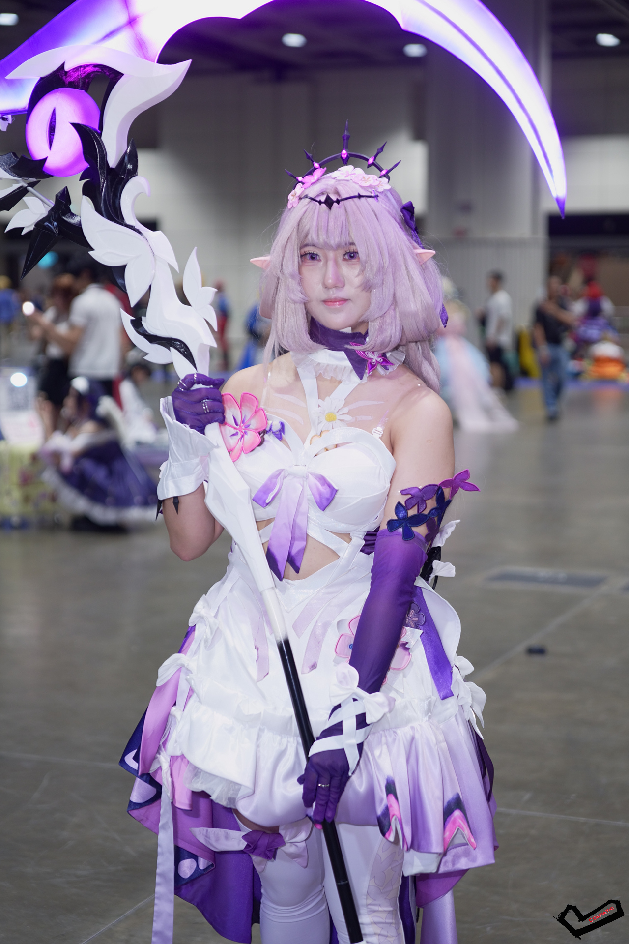 DSC08611.jpg