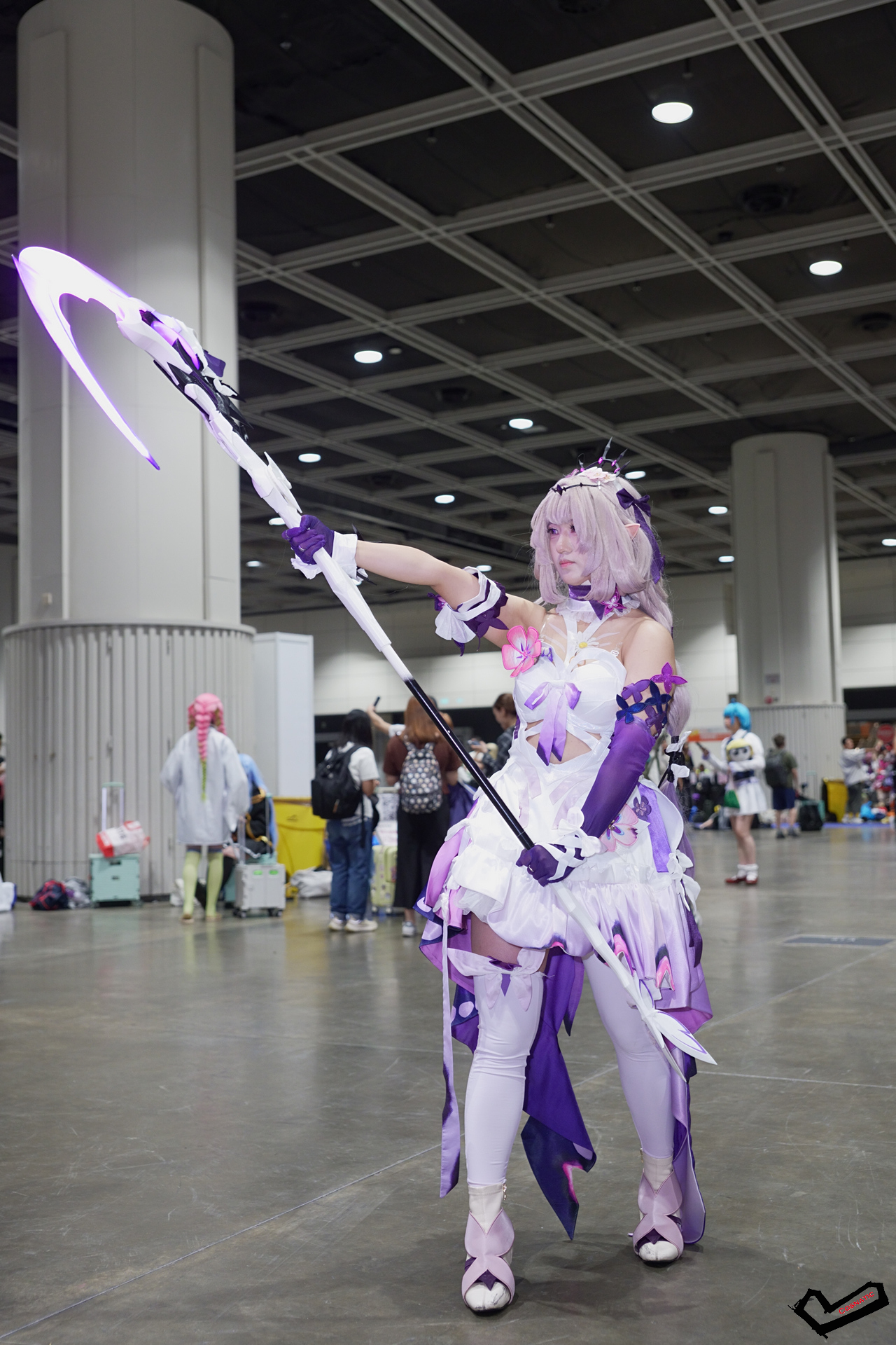 DSC08616.jpg