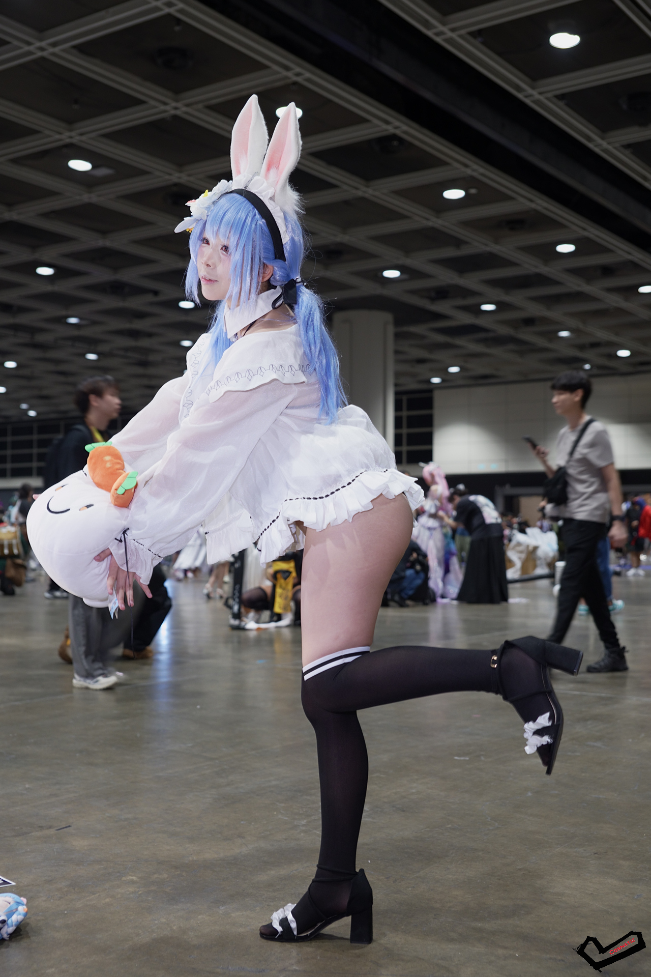 DSC08763.jpg