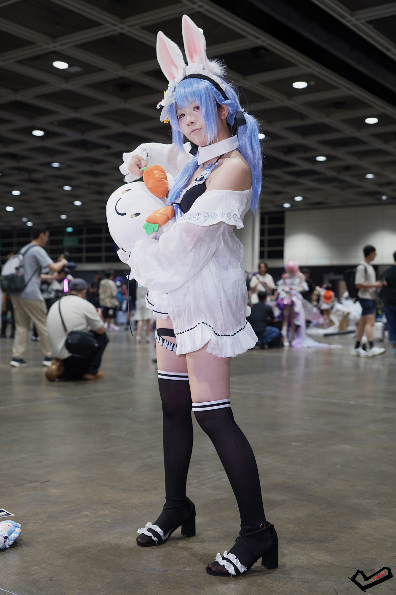 DSC08769.jpg