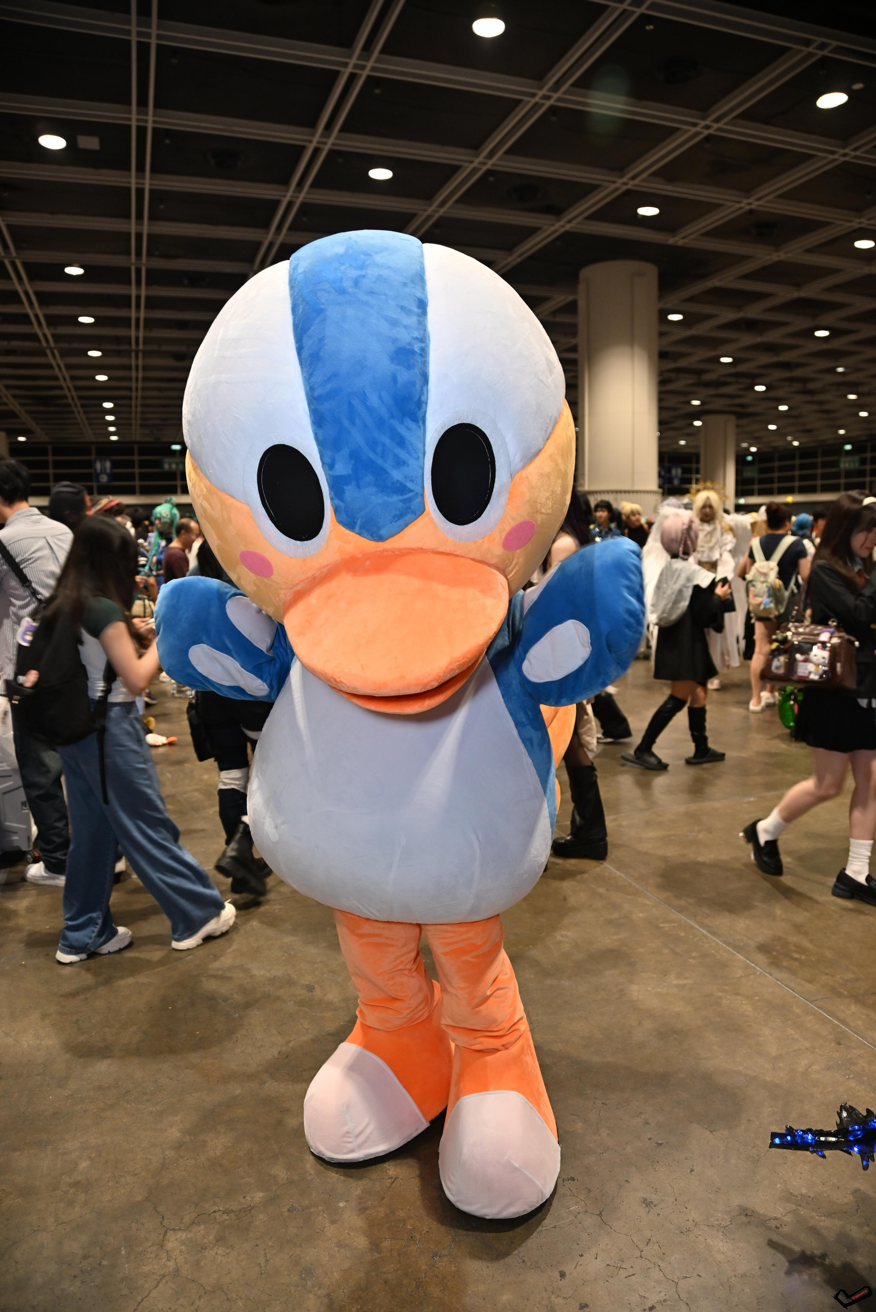 DSC_1509.JPG